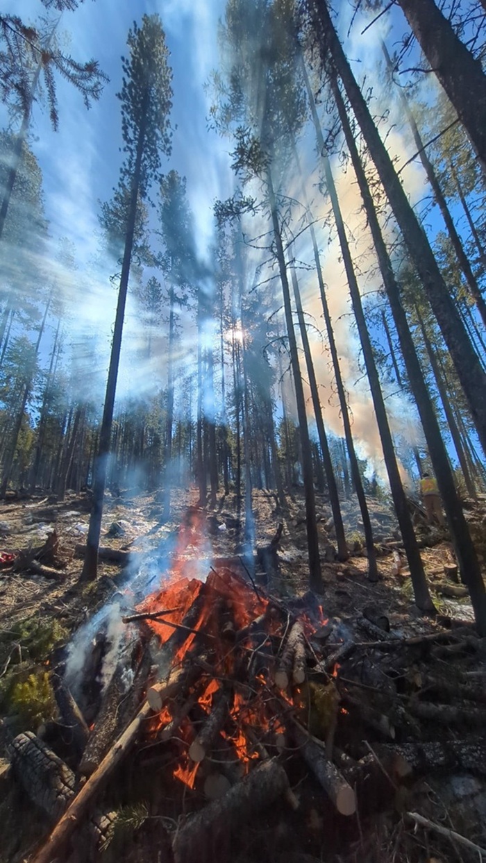 Burning a slash pile