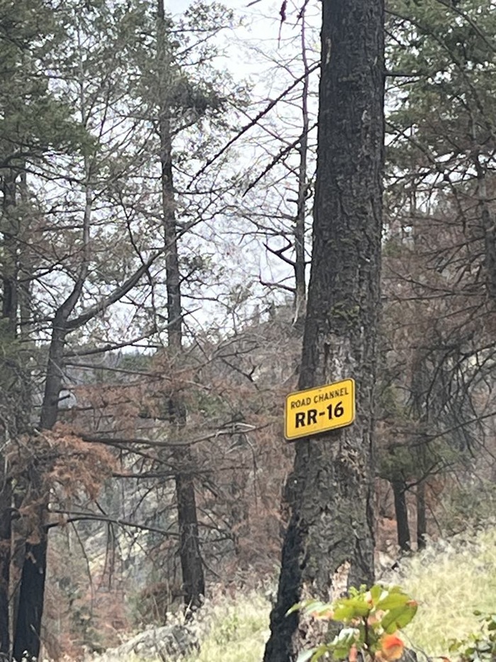 Forestry road channel sign