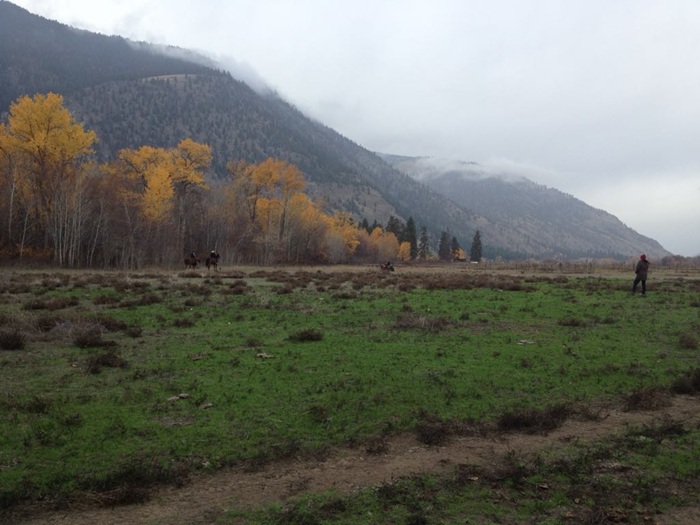 Field in Chopaka